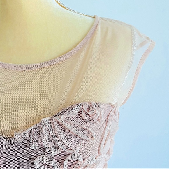 💕Fit and Flare Mesh Dress SZ S - Picture 8 of 15